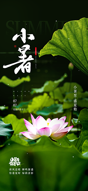 小暑二十四节气海报