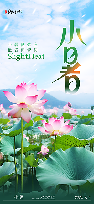 小暑二十四节气海报
