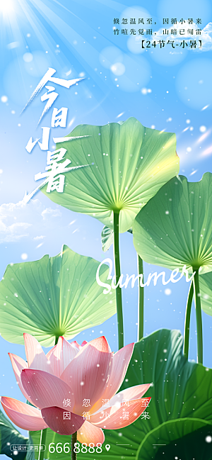 小暑二十四节气海报