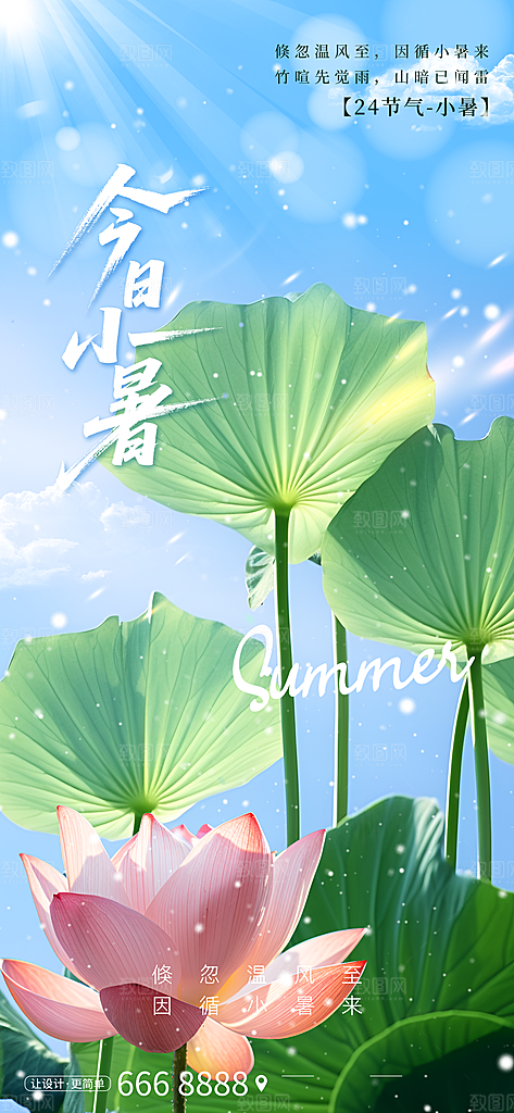 小暑二十四节气海报