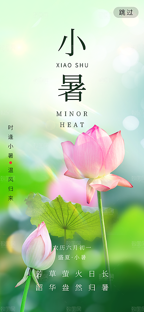 小暑二十四节气海报