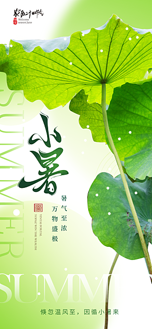二十四节气小暑海报