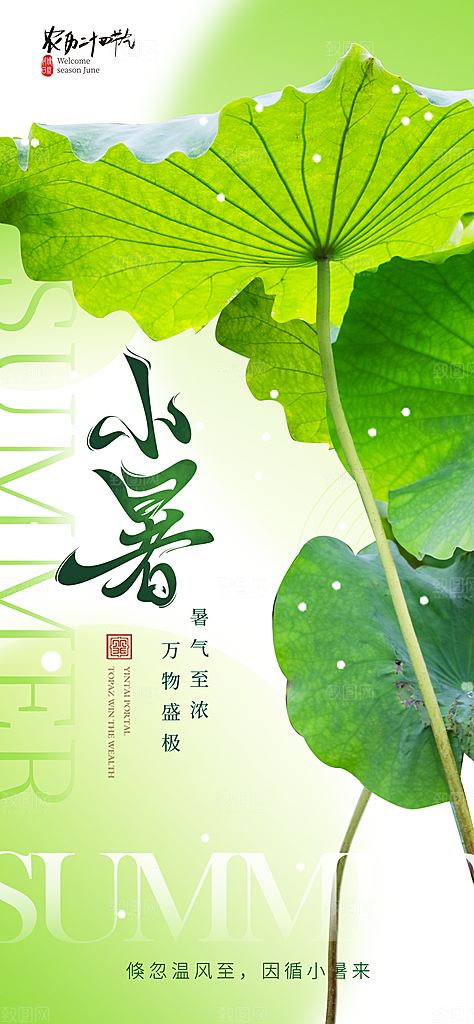 二十四节气小暑海报
