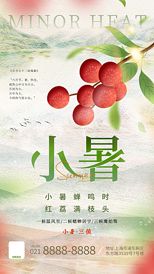 二十四节气小暑海报