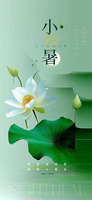 二十四节气小暑海报
