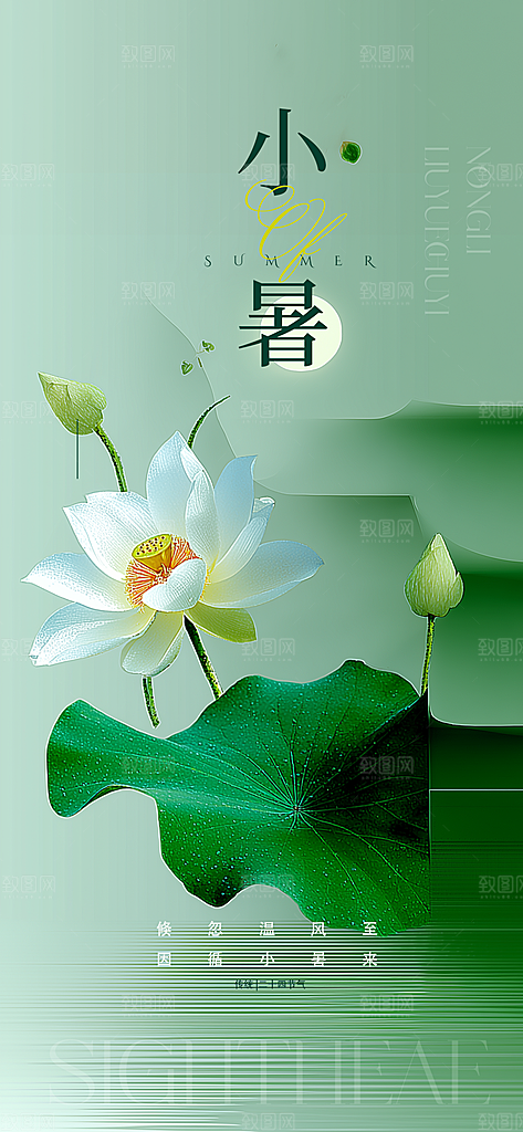 二十四节气小暑海报