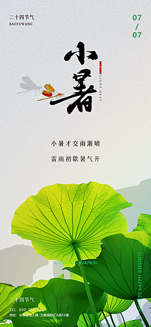 小暑二十四节气海报