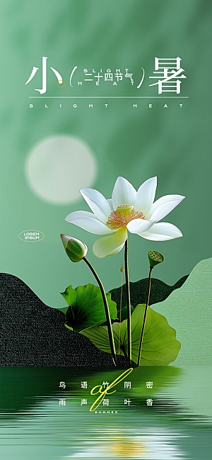 小暑二十四节气海报