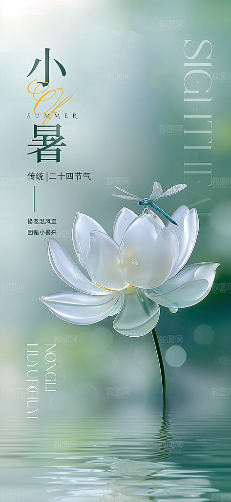 小暑二十四节气海报