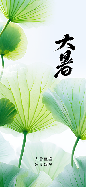 大暑节气传统活动海报