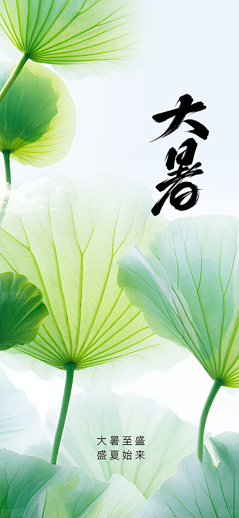 大暑节气传统活动海报