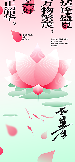 大暑荷花花朵节气海报