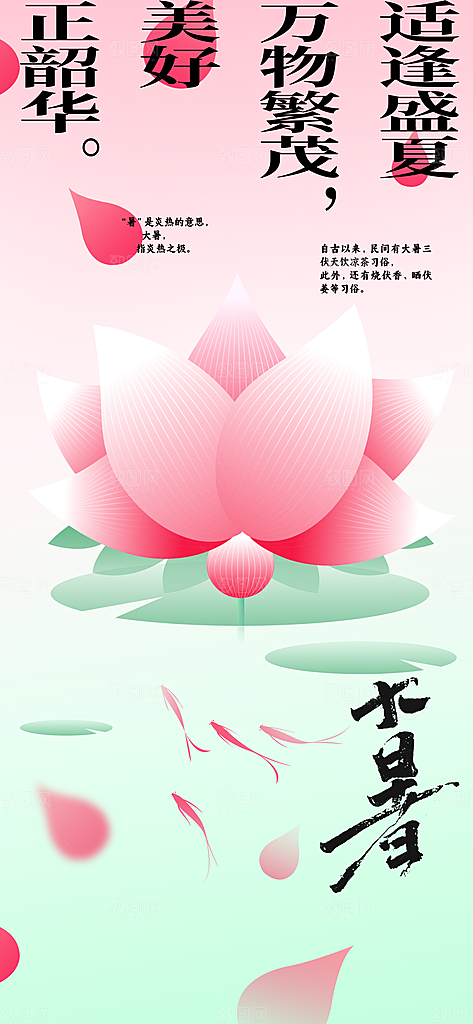 大暑荷花花朵节气海报