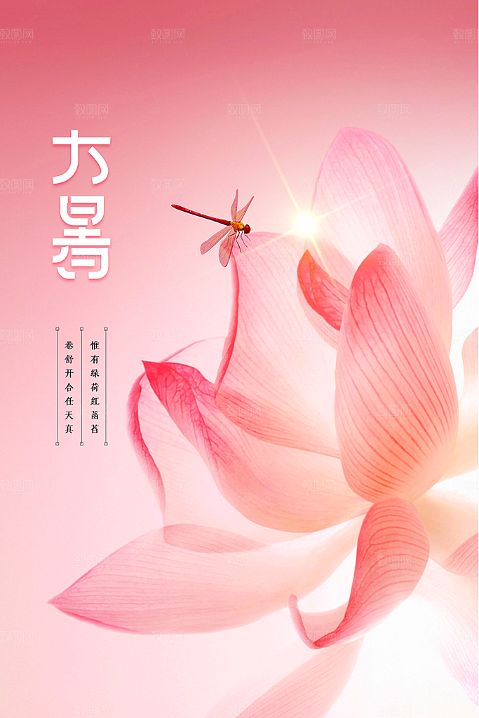 大暑荷花花朵节气海报