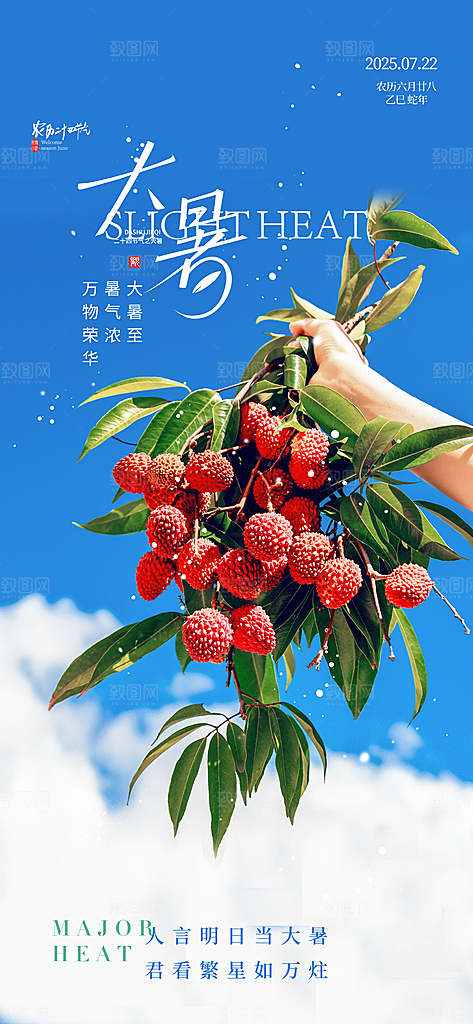 二十四节气大暑海报