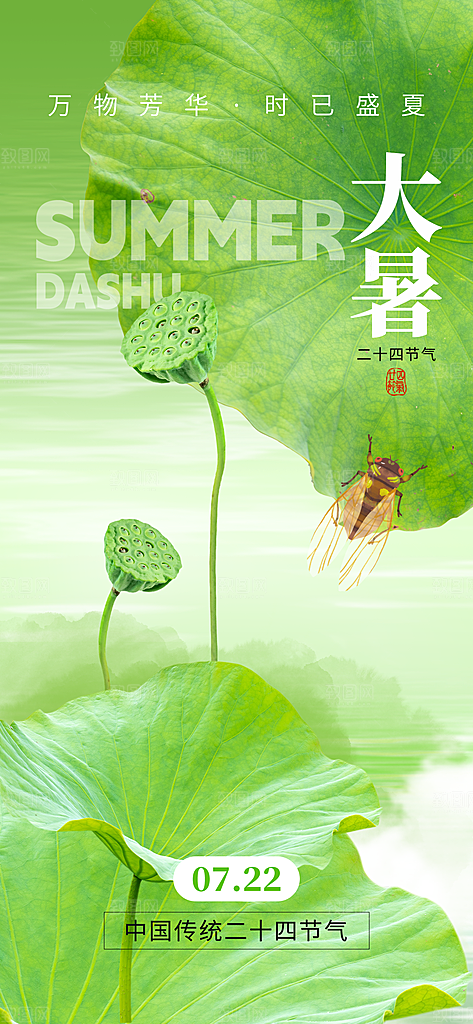 大暑二十四节气海报