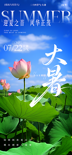 二十四节气大暑海报