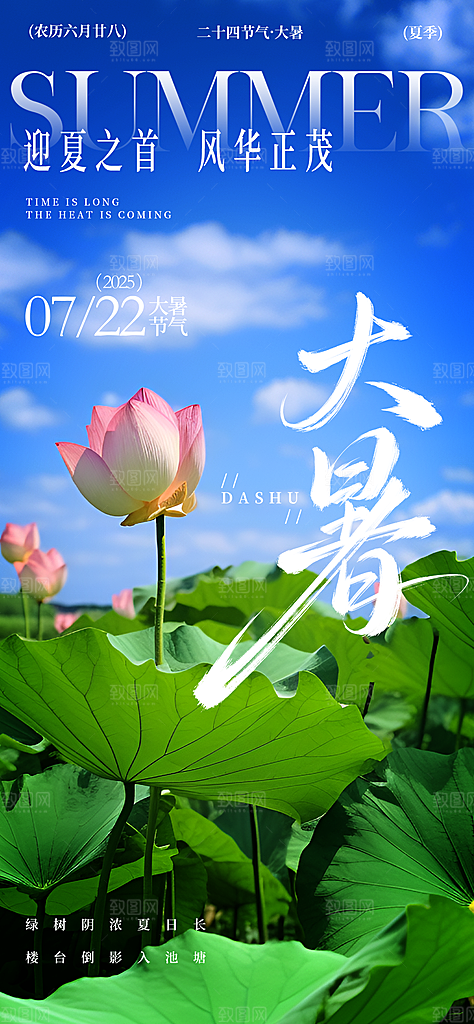 二十四节气大暑海报
