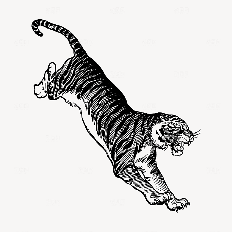 矢量线条手绘老虎插画