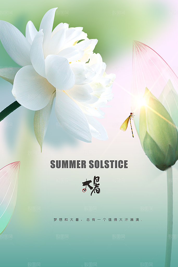 大暑节气传统活动海报