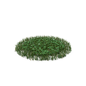蕨类植物小草丛免抠素材