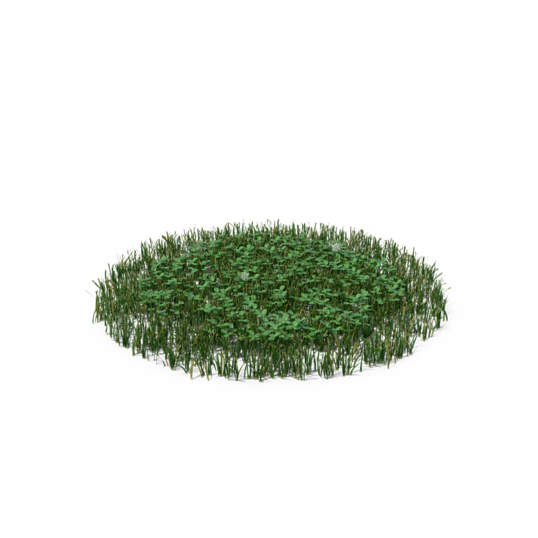 蕨类植物小草丛免抠素材