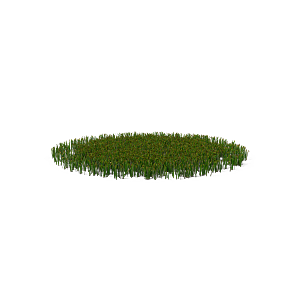 蕨类植物小草丛免抠素材