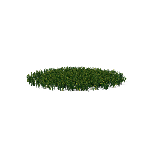 蕨类植物小草丛免抠素材