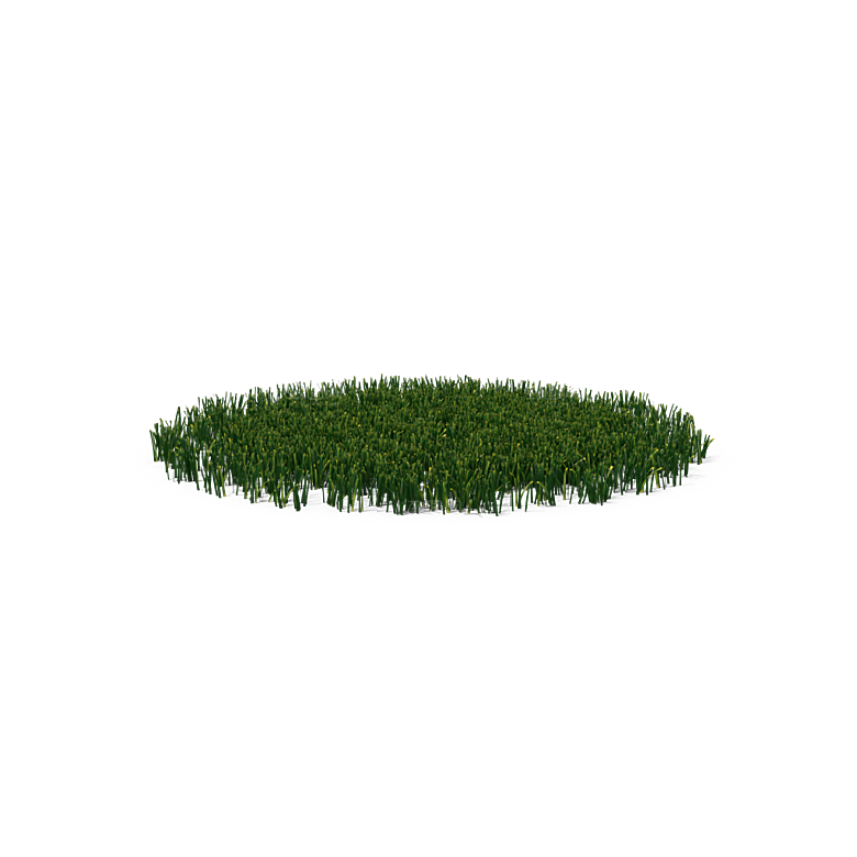 蕨类植物小草丛免抠素材