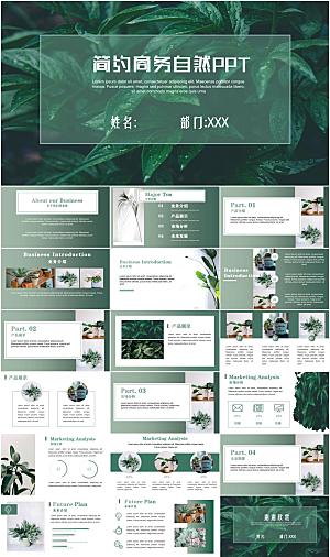 简约商务自然PPT模板