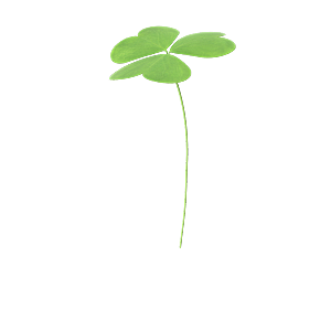 小草丛蕨类植物免抠素材