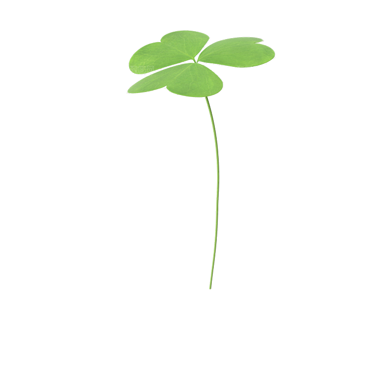 小草丛蕨类植物免抠素材