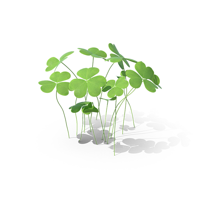 小草丛蕨类植物免抠素材