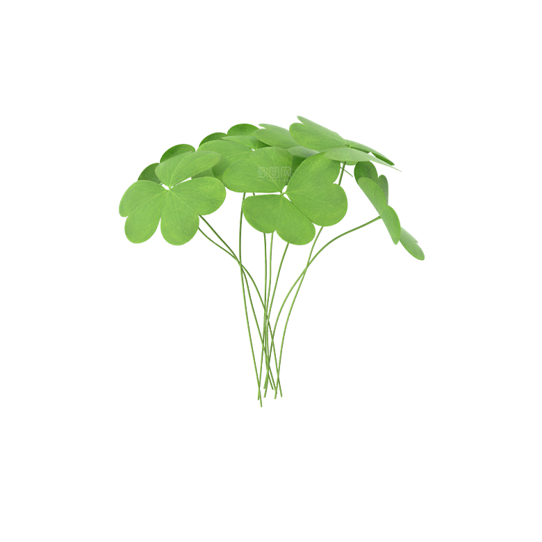 小草丛蕨类植物免抠素材