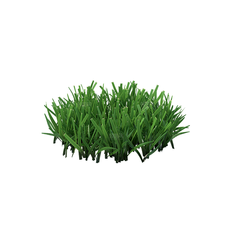 小草丛蕨类植物免抠素材