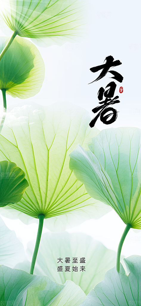 大暑节气活动海报