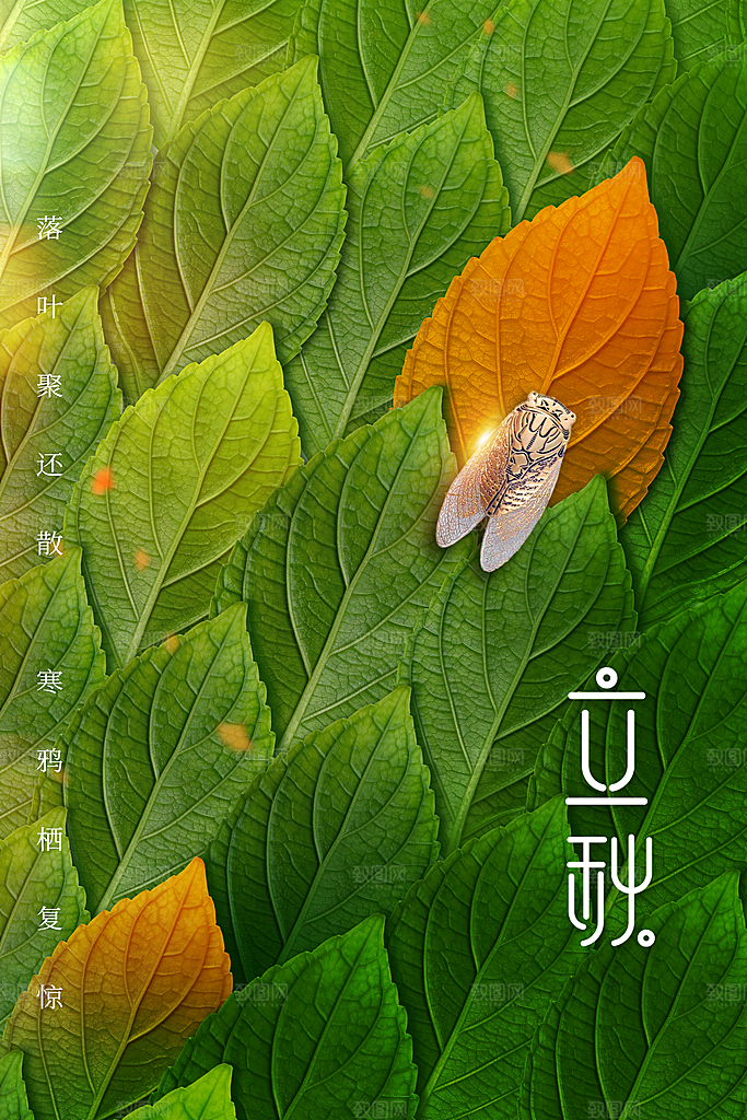 立秋活动秋天插画海报