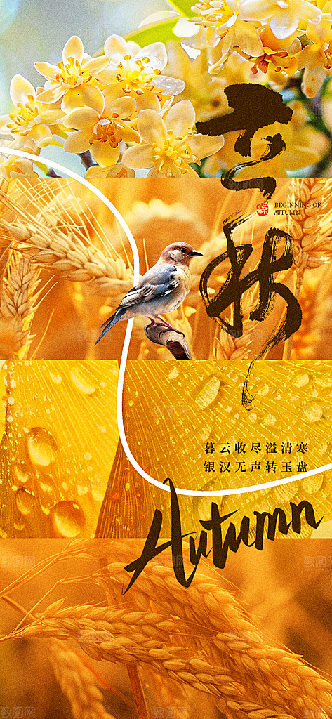 立秋时节秋季8月你好秋日秋天24节气海报