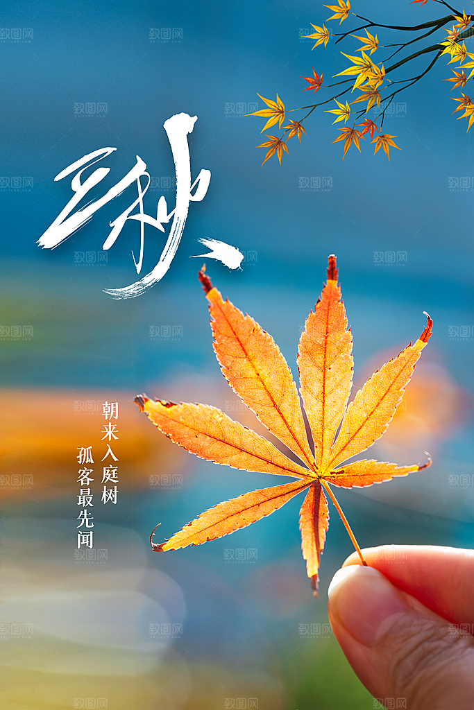 立秋秋天插画简约活动海报