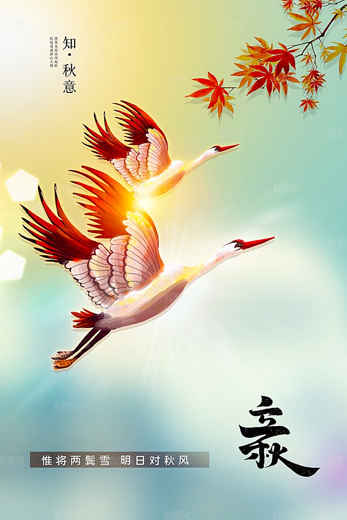 立秋节气传统活动海报