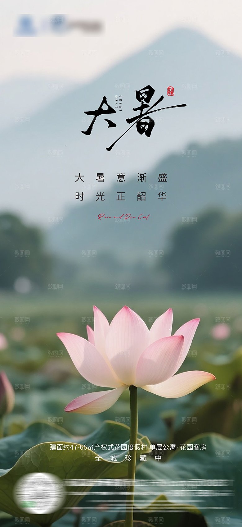 地产大暑节气海报