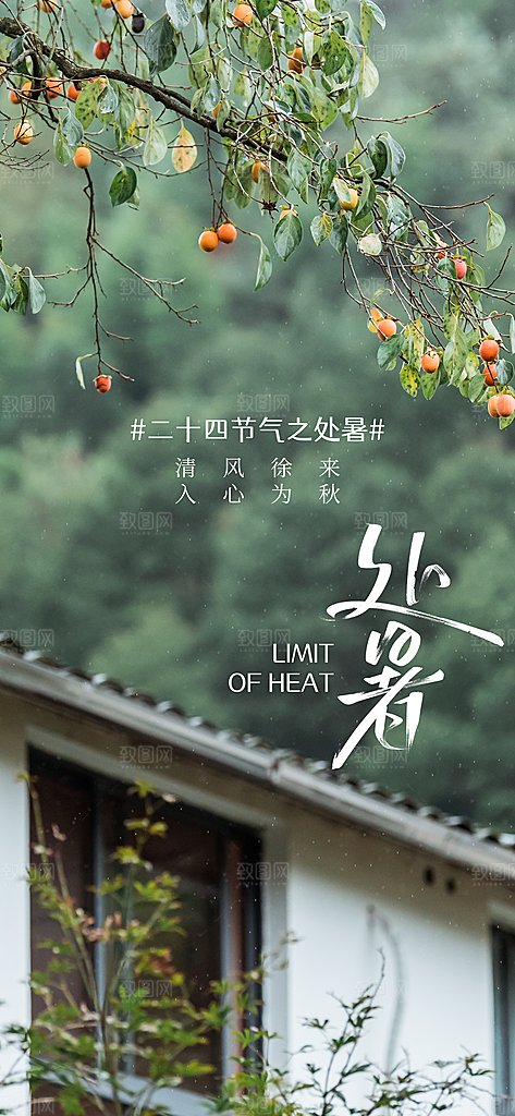 大暑节气传统活动海报