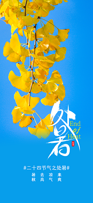 大暑节气传统活动海报