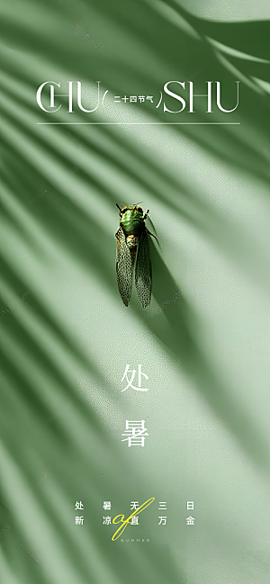 大暑节气传统活动海报