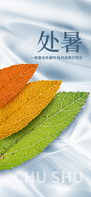 24节气处暑时节秋季八月秋天秋日海报