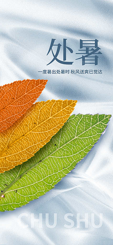 24节气处暑时节秋季八月秋天秋日海报