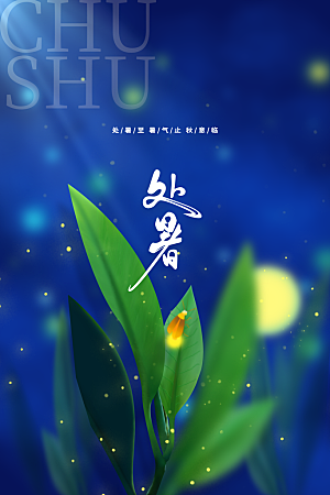 处暑夏季复古简约节气海报