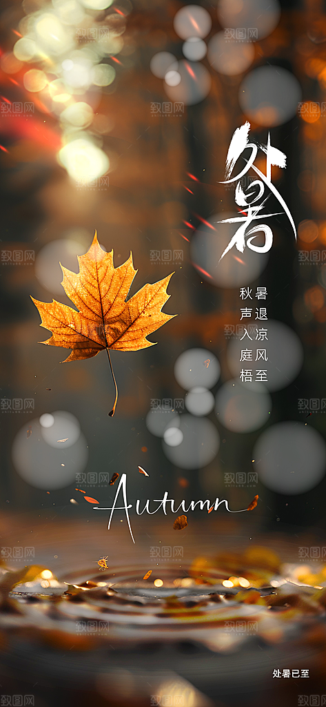 处暑节气传统活动海报