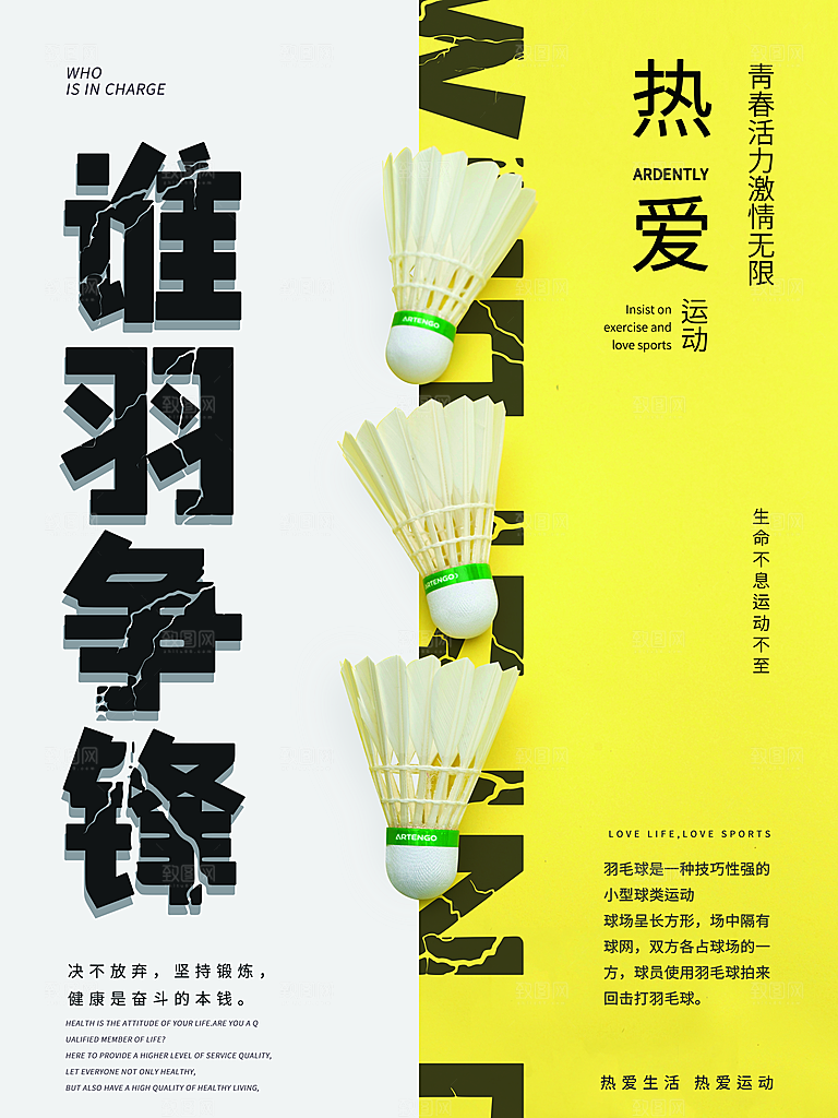球类运动体育比赛社团营销宣传海报