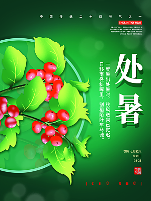 传统节气处暑宣传海报